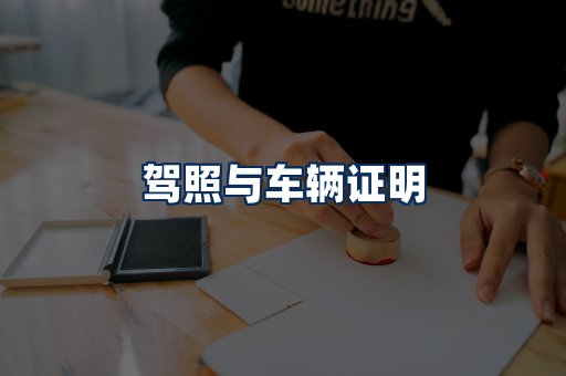 车辆证明展示